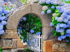 Blue flowers decorating a gate in Brittany, France
