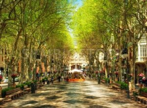 Boulevard Born in Palma de Mallorca, Spain, Europe