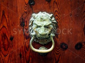 Decorative bronze lion head door knob