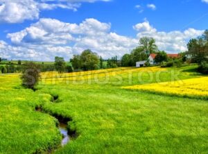 German countryside landscape with creek and yellow canola field