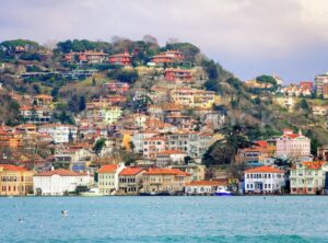 Houses on a hill over Bosphorus, Istanbul, Turkey