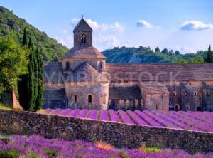 Lavender fields at Senanque monastery, Provence, France