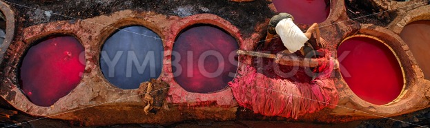 Leather dying in a traditional tannery in Fes, Morocco