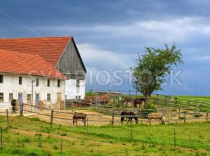 Traditional red tiled roof farm house with horses in Bavaria, Germany