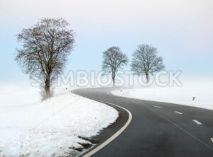 Winding winter road