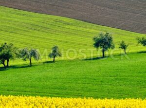 Colorful countryside landscape in Bavaria, Germany - GlobePhotos - royalty free stock images