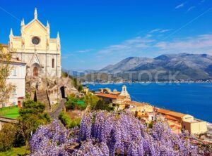 Blooming wisteria flowers in Gaeta old town, Italy