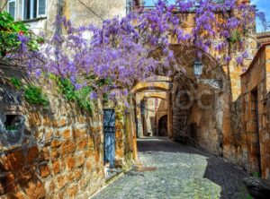 Blooming wisteria flowers in historical Orvieto Old town, Italy