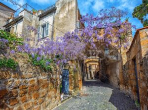 Historical street with blooming wisteria flowers, Orvieto, Italy