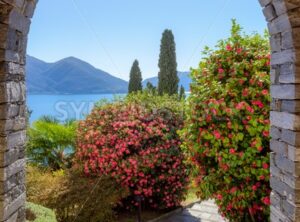 Mediterranean garden on lake Lago Maggiore, Italy