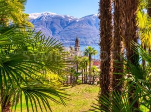 Palm tree garden in Ascona town on Lago Maggiore lake, Locarno, Switzerland