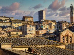 View over the roofs of the Siena Old town, Italy - GlobePhotos - royalty free stock images