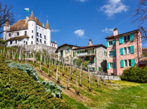 Nyon town and Castle, Valais, Switzerland - GlobePhotos - royalty free stock images