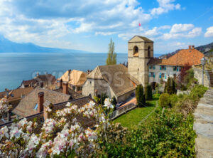 Saint-Saphorin village on Lake Geneva in Lavaux, Switzerland