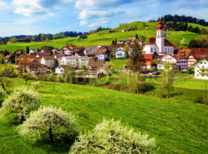 Blooming cherry trees in Luthern village, Switzerland
