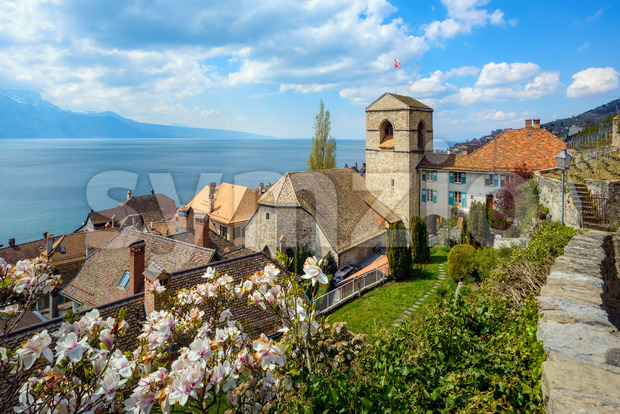 Saint-Saphorin village on Lake Geneva in Lavaux, Switzerland Stock Photo