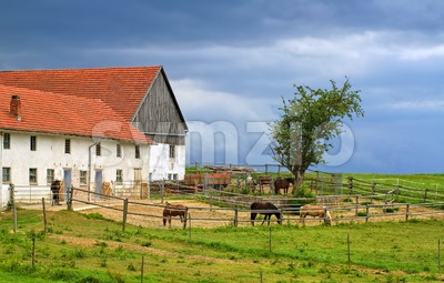 Traditional red tiled roof farm house with horses in Bavaria, Germany Stock Photo