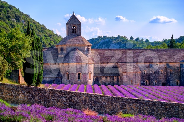 Lavender fields at Senanque monastery, Provence, France Stock Photo