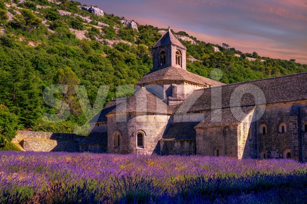 Lavender fields in Senanque monastery, Provence, France Stock Photo