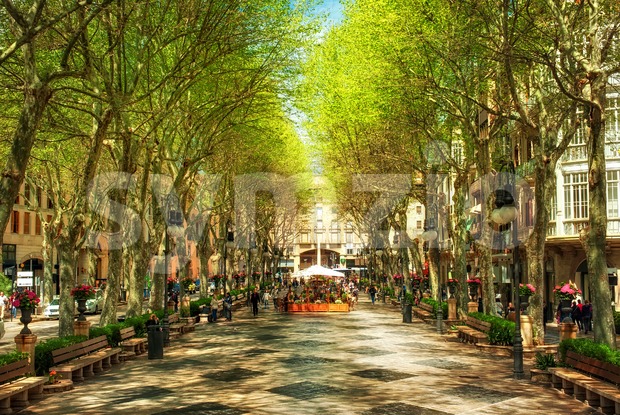Boulevard Born in Palma de Mallorca, Spain, Europe Stock Photo
