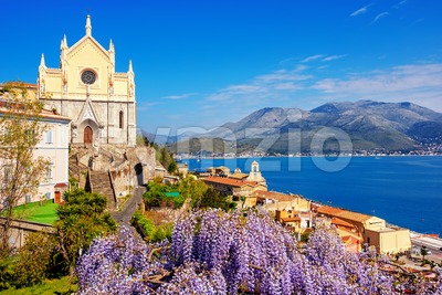Blooming wisteria flowers in Gaeta old town, Italy Stock Photo