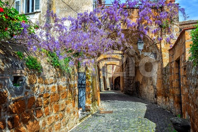 Blooming wisteria flowers in historical Orvieto Old town, Italy Stock Photo